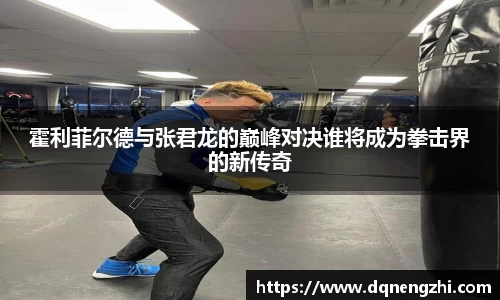 霍利菲尔德与张君龙的巅峰对决谁将成为拳击界的新传奇