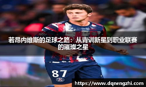 若昂内维斯的足球之路：从青训新星到职业联赛的璀璨之星